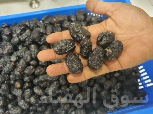 تمر عجوة المدينة المنورة من المدينة المنورة