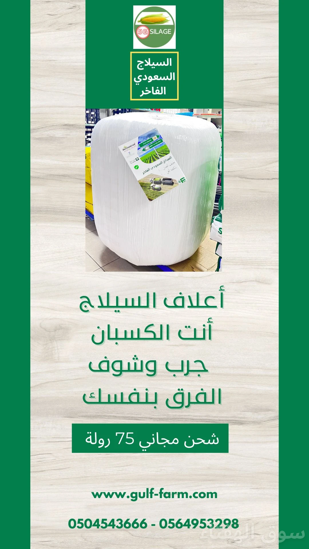 أعلاف السيلاج السعودي الفاخر