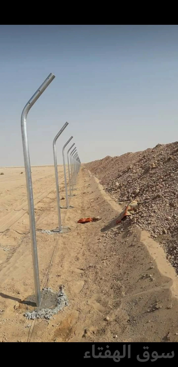 توريدوتركيب الشبوك