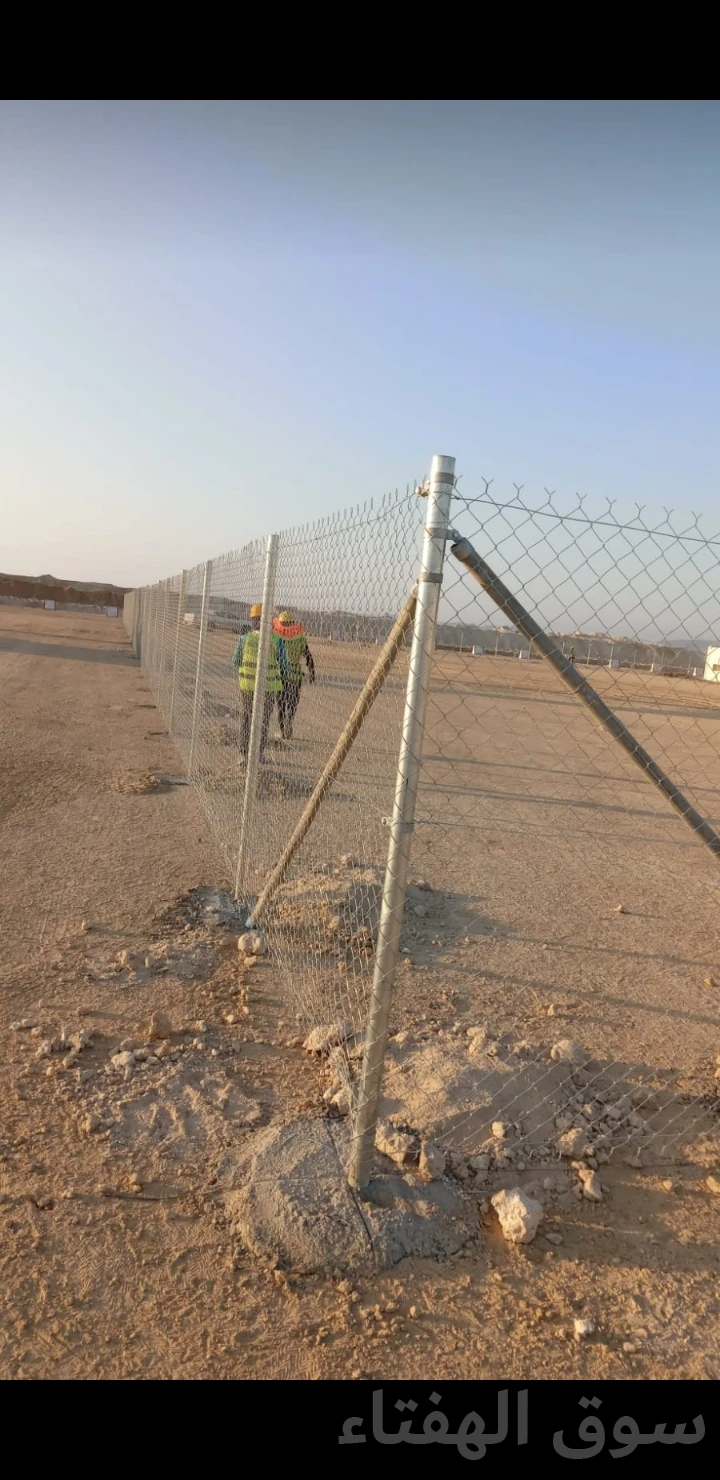 توريدوتركيب الشبوك