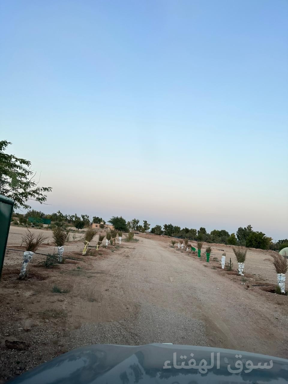 للبيع مزرعه