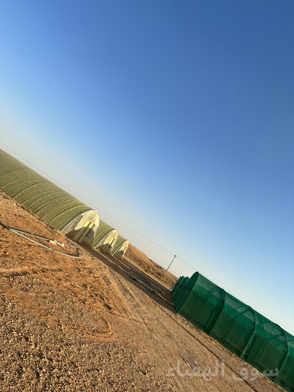 للبيع مزرعه