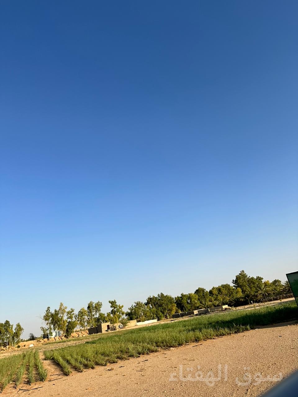 للبيع مزرعه