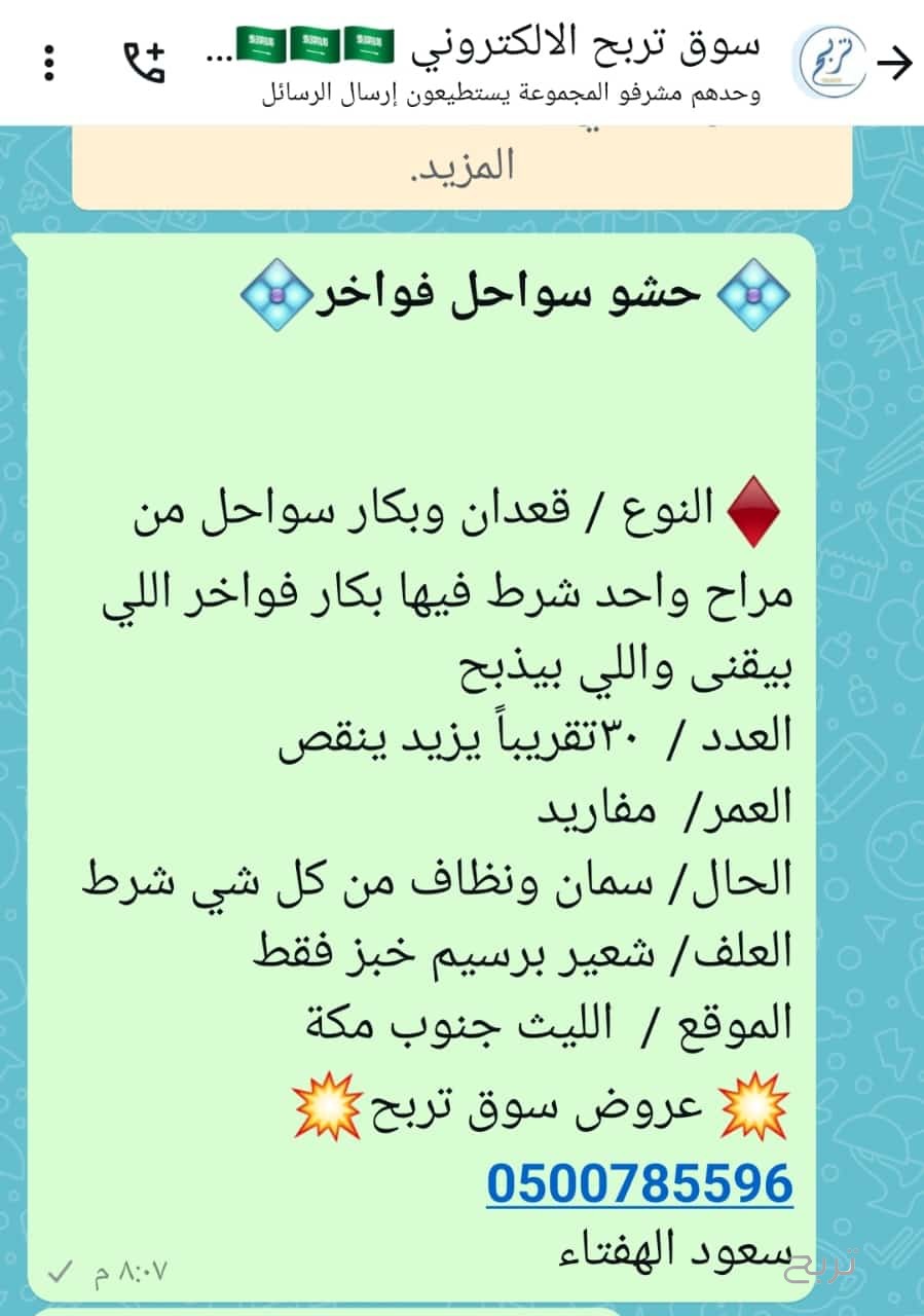 للبيع قعدان قصب طيبه